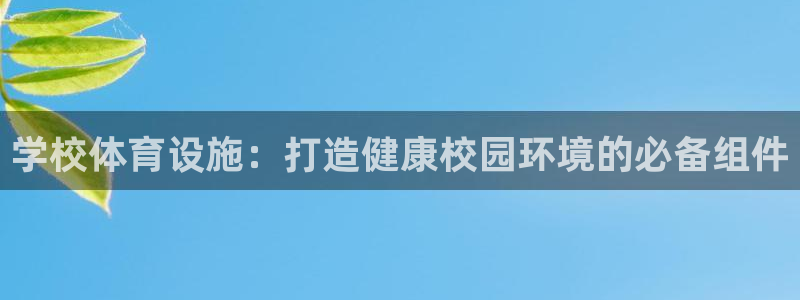 意昂3娱乐：学校体育设施：打造健康校园环境的必备组件