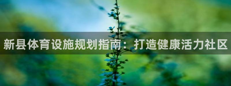 意昂体育3平台：新县体育设施规划指南：打造健康活力社区